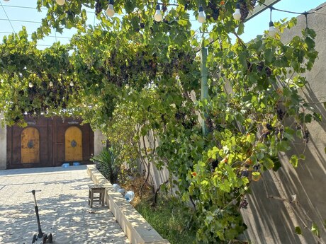 3 otaqlı həyət evi, 140 m², Albalılıq: 190 000 ₼ 3