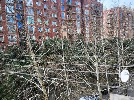 2-room apartment for rent, 46 m², Gənclik: 600 ₼/mo 5