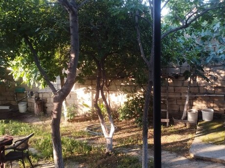5-room house, 105 m², 20-ci sahə: 180 000 ₼ 2