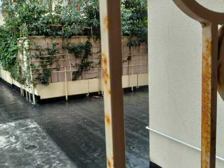 3-room apartment, 135 m², Elmlər Akademiyası: 460 000 ₼ 5