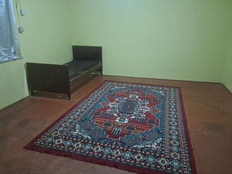 2 otaq · 50 m²