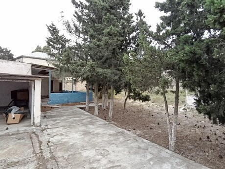 Elan №6512356 - Bakı, Mərdəkan q., 9 sot