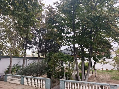 6 Abşeron