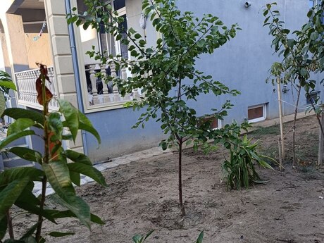 4-комнатный дом, 123 м², Bülbülə: 198 000 ₼ 2