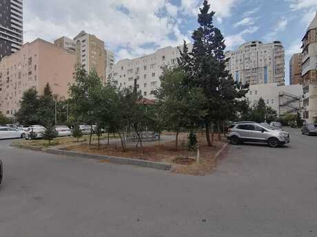 2 Şah İsmayıl Xətai