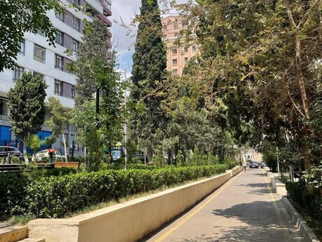 1 otaqlı mənzil, 33 m², Memar Əcəmi: 121 000 ₼ 3