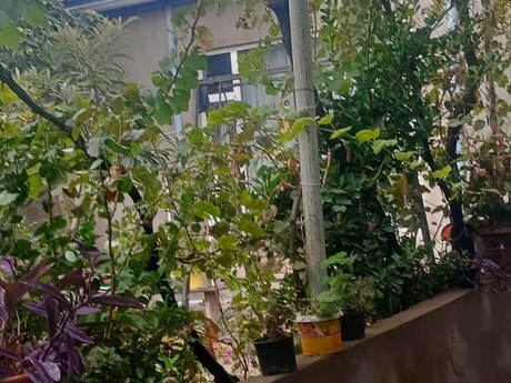 3-room house, 110 m², Binəqədi: 70 000 ₼ 5