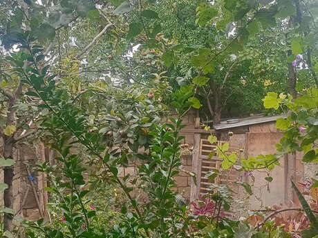 3-room house, 110 m², Binəqədi: 70 000 ₼ 4