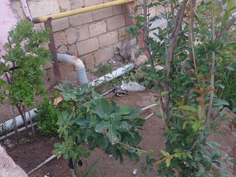 3-room house, 120 m², Binəqədi: 67 000 ₼ 5