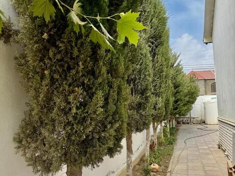 4-комнатный дом, 95 м², Kürdəxanı: 115 000 ₼ 4