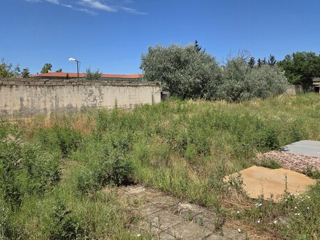 4 otaqlı həyət evi, 350 m², Şağan: 700 000 ₼ 4