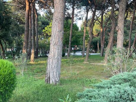 2-комнатная квартира, 95 м², Park Academy: 450 000 ₼ 2