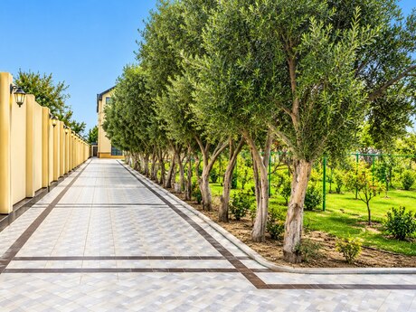 7 otaqlı həyət evi, 600 m², Bilgəh: 1 400 000 ₼ 3