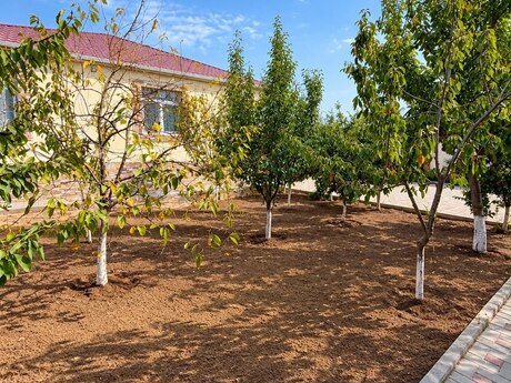 4-room house, 170 m², Şüvəlan: 220 000 ₼ 5