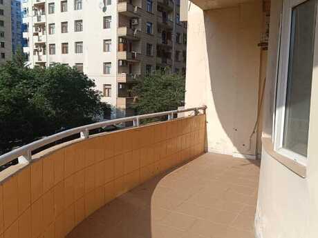 3-комнатная квартира, 130 м², Nizami: 350 000 ₼ 5
