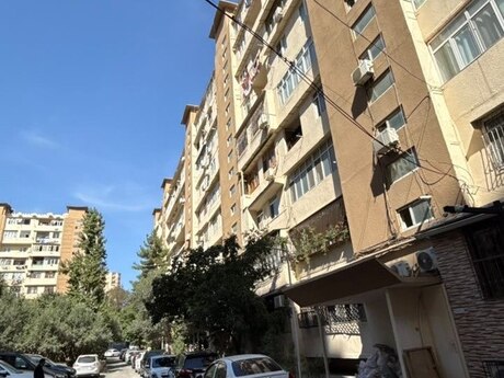1 otaq · 50 m²