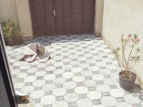 Masazırda 2 otaqlı həyət evi kirayə verilir, 70 m², 350 AZN/ay, şəkil 5 / 12