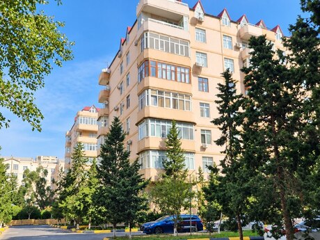 3 Şah İsmayıl Xətai