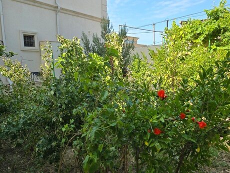 Buzovnada 4 otaqlı həyət evi kirayə verilir, 300 m², 1 000 AZN/ay, şəkil 3 / 12