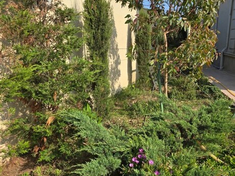 Buzovnada 4 otaqlı həyət evi kirayə verilir, 300 m², 1 000 AZN/ay, şəkil 4 / 12