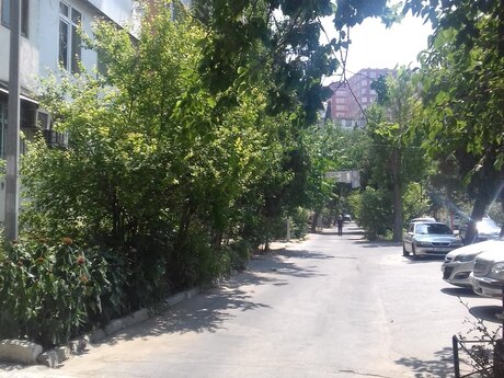 2 otaq · 65 m² · 4/5 mərtəbə, Azadlıq Prospekti