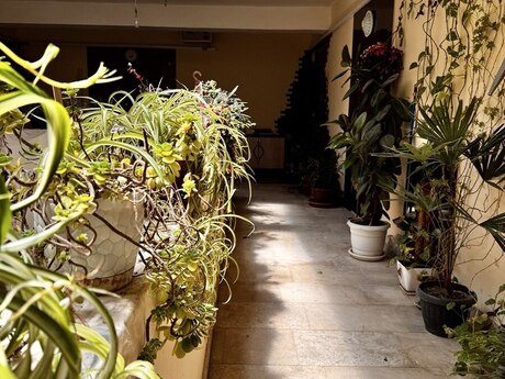 Badamdarda 2 otaqlı yeni tikili mənzil satılır, 90 m², 250 000 AZN, şəkil 4 / 12