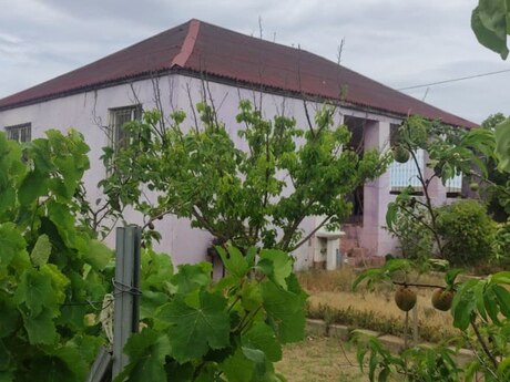 3 rooms · 100 m²