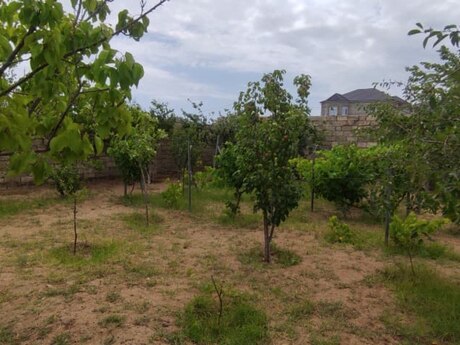 3-room house for sale in Dübəndi, 100 m², 65 000 AZN, photo 3 / 12
