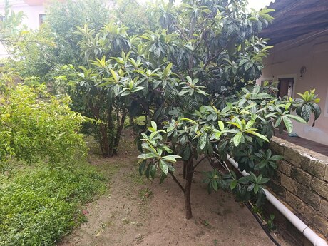Novxanıda 4 otaqlı həyət evi satılır, 120 m², 100 000 AZN, şəkil 2 / 12