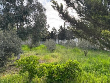 4 otaq · 180 m², Nardaran