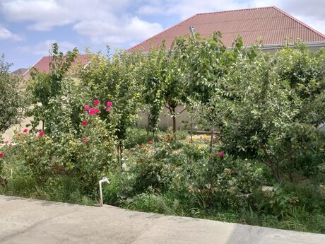 4-room house for sale in Maştağa, 140 m², 140 000 AZN, photo 5 / 12
