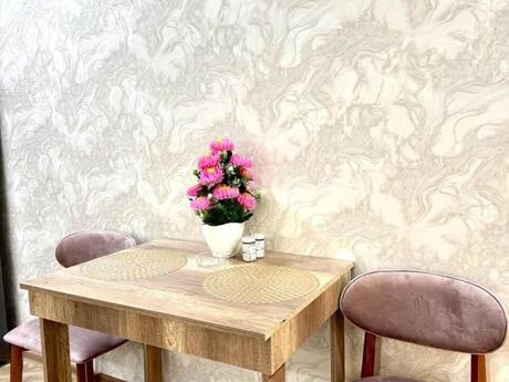 Sahildə 2 otaqlı mənzil günlük kirayə verilir, 55 m², 50 AZN/gün, şəkil 5 / 10