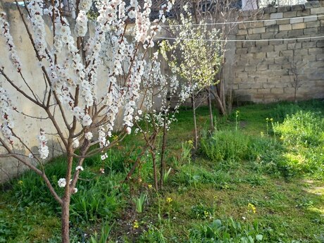 2 rooms · 80 m², Avtovağzal