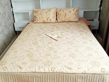 Сдаётся 2-комнатная квартира в старом фонде, İçəri Şəhər, 50 м², 1 200 AZN/мес, фото 3 / 12