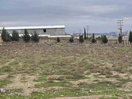 Elan №6524921 - Bakı, Saray q., 20 sot