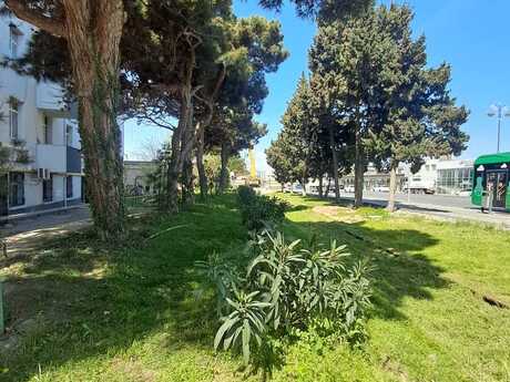 2-room old-build apartment for sale in Həzi Aslanov, 55 m², 75 000 AZN, photo 2 / 12