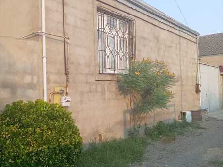 4 rooms · 130 m², Saray