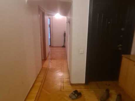 3-комн. · 100 m²