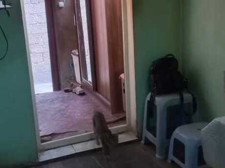Əmircanda 3 otaqlı həyət evi kirayə verilir, 60 m², 200 AZN/ay, şəkil 2 / 4