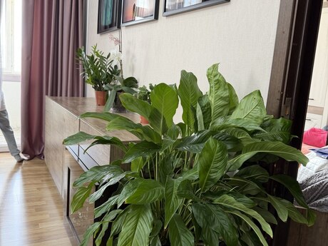 İnşaatçılarda 3 otaqlı yeni tikili mənzil satılır, 88 m², 315 000 AZN, şəkil 4 / 6