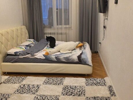 Nizamidə 3 otaqlı yeni tikili mənzil kirayə verilir, 85 m², 950 AZN/ay, şəkil 2 / 12