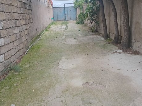 Masazırda 5 otaqlı həyət evi kirayə verilir, 180 m², 550 AZN/ay, şəkil 2 / 12