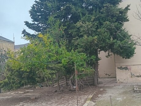 Masazırda 5 otaqlı həyət evi kirayə verilir, 180 m², 550 AZN/ay, şəkil 5 / 12