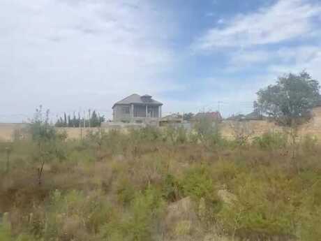 Elan №6530067 - Bakı, Saray q., 12 sot