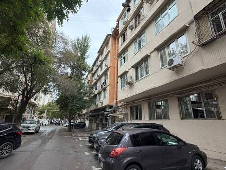 2 otaq · 55 m²