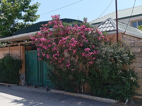 5 otaq · 190 m², Zığ