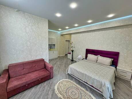2-room new-build apartment for rent in Nəriman Nərimanov, 50 m², 800 AZN/mo, photo 3 / 12