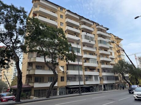 3 otaq · 122 m²