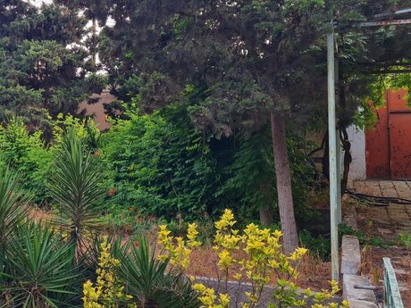 3-room house for sale in Bilgəh, 180 m², 450 000 AZN, photo 5 / 12