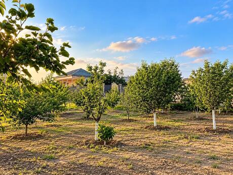 Sarayda 6 otaqlı həyət evi satılır, 250 m², 250 000 AZN, şəkil 3 / 12